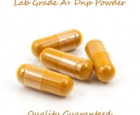 Buy DNP Dinitrophenol 100mg